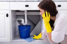 Choosing Sarkinen Plumbing: Portland’s Reliable Partner for Kitchen and Bathroom Plumbing Renovations