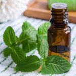 Mentha Oil Rate Today: Best Strategies for Commodity Traders