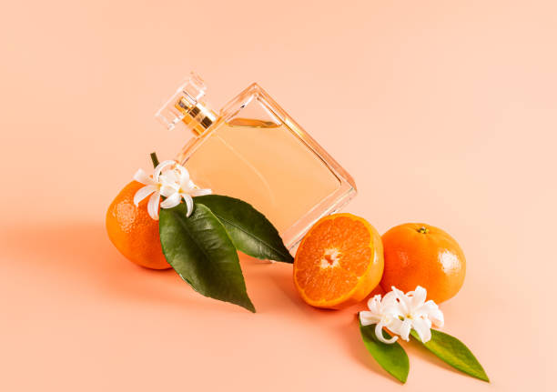 Captivating New Directions in Perfume Packaging Design